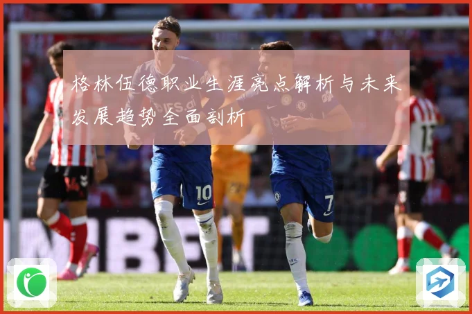 格林伍德职业生涯亮点解析与未来发展趋势全面剖析