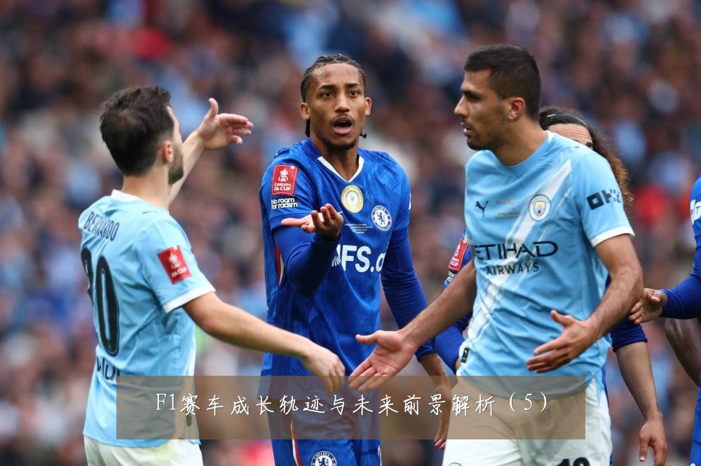 F1赛车成长轨迹与未来前景解析（5）