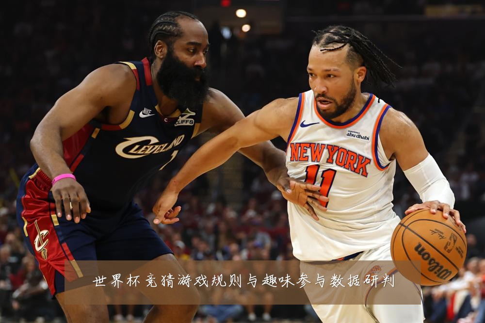 世界杯竞猜游戏规则与趣味参与数据研判
